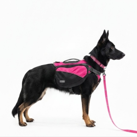 Max & Neo Dog Collar and Leash Set + Outward Hound Backpack - Picture 12 of 12